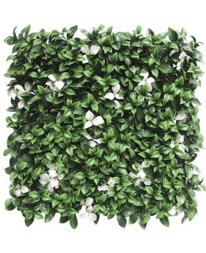 Die künstliche Hecke Gardenie mit weißer Blüte 50x50 cm UV ist eine quadratische Platte mit dichten grünen Blättern und vereinzelten weißen Blüten vor einem weißen Hintergrund.
