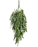 Die künstliche Hängepflanze Eukalyptus 76 cm hat dichte, kaskadierende künstliche Eukalyptusblätter mit runder und ovaler Form, perfekt, um jedem Raum mehr Grün zu verleihen.