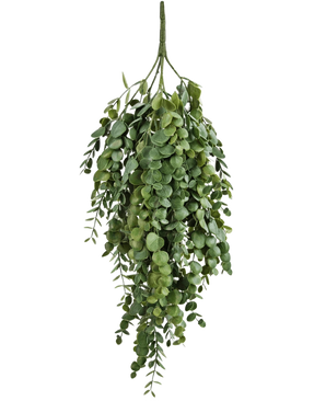 Die künstliche Hängepflanze Eukalyptus 76 cm hat dichte, kaskadierende künstliche Eukalyptusblätter mit runder und ovaler Form, perfekt, um jedem Raum mehr Grün zu verleihen.