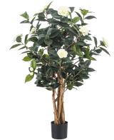 Die Kunstpflanze Camellia japonica 100 cm hat mehrere hohe braune Stängel, dunkelgrüne Blätter und weiße Kunstblumen vor einem schlichten weißen Hintergrund.