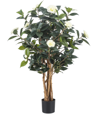 Die Kunstpflanze Camellia japonica 100 cm hat mehrere hohe braune Stängel, dunkelgrüne Blätter und weiße Kunstblumen vor einem schlichten weißen Hintergrund.