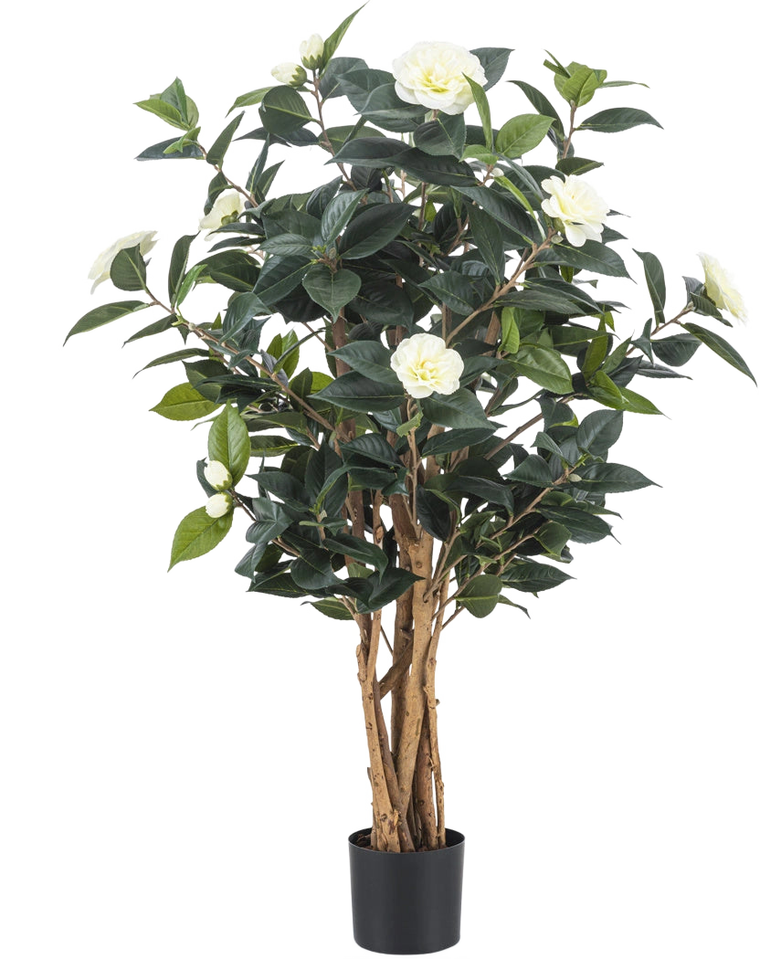 Die Kunstpflanze Camellia japonica 100 cm hat mehrere hohe braune Stängel, dunkelgrüne Blätter und weiße Kunstblumen vor einem schlichten weißen Hintergrund.