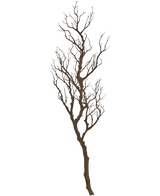 Der Art Decorative Branch 118 cm ist ein hoher, blattloser Dekozweig mit vielen dünnen, gedrehten Stielen, die nach oben ragen und vor einem schlichten weißen Hintergrund präsentiert werden.