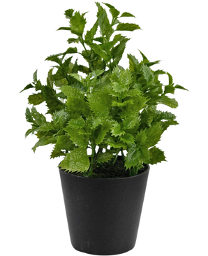 Künstliche Pflanze Perilla 25 cm: Eine leuchtend grüne Blattpflanze mit gezackten Rändern in einem einfachen schwarzen Topf, perfekt, um jedem Raum einen Hauch von Natur zu verleihen.