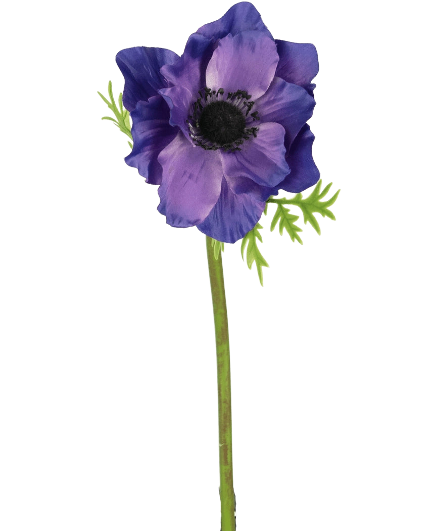 Die künstliche Blumenanemone 43 cm lila hat ein dunkles Herz, zartgrüne Blätter und einen langen grünen Stiel, die einen auffälligen Kontrast zum schlichten weißen Hintergrund bilden.