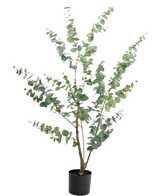 Die Kunstpflanze Eukalyptus 150 cm ist ein hoher künstlicher Eukalyptus im Topf mit langen, schlanken Zweigen und runden, silbergrünen Blättern vor einem schlichten weißen Hintergrund.