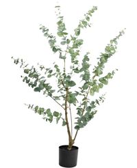 Künstliche Pflanze Eukalyptus 150 cm