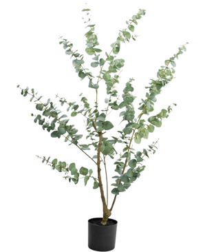 Die Kunstpflanze Eukalyptus 150 cm ist ein hoher künstlicher Eukalyptus im Topf mit langen, schlanken Zweigen und runden, silbergrünen Blättern vor einem schlichten weißen Hintergrund.