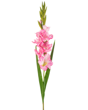 Eine einzelne künstliche Gladiole, 93 cm, leuchtend rosa, mit mehreren leuchtend rosa Blüten und Knospen, gepaart mit langen grünen Blättern, auf weißem Hintergrund.