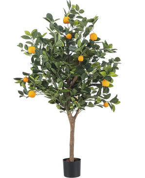 De Kunst sinaasappelboom 120 cm heeft dichte groene bladeren en levendige oranje vruchten tegen een effen witte achtergrond.