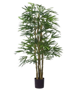 De Kunstplant Lady Palm 150 cm brandvertragend heeft slanke groene bladeren en meerdere dunne, bruine stengels in een kleine zwarte pot, tegen een effen witte achtergrond.