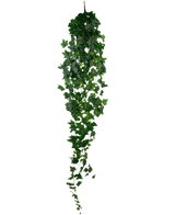 Der künstliche Efeu 180 cm grün ist ein einzelner künstlicher grüner Efeu mit dichten, spitzen Blättern, der vertikal vor einem schlichten weißen Hintergrund hängt.