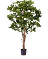 De Kunstplant Schefflera 120 cm is een hoge kunstplant met weelderige groene bladeren en meerdere slanke bruine stammen in een kleine zwarte pot, perfect voor het decoreren van elke ruimte.