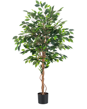 Die Kunstpflanze Ficus Green 150 cm hat mehrere grüne Blätter und geflochtene braune Stängel in einem schlichten schwarzen Topf vor einem schlichten weißen Hintergrund.