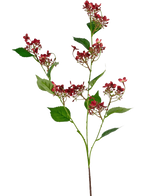 Die künstliche Blumen-Wildhortensie 86 cm rot hat einen hohen Stiel mit Büscheln kleiner, dunkelroter Blüten und mehreren grünen Blättern, die vor einem weißen Hintergrund dargestellt sind.