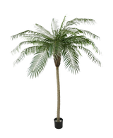 Die Kunstpalme Phoenix De Luxe 210 cm hat lange, gebogene grüne Blätter und einen strukturierten Stamm, in einem kleinen schwarzen Topf vor einem schlichten weißen Hintergrund.