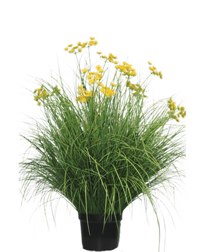 Die feuerhemmende Kunstrasenpflanze Asteraceae 100 cm hat lange, schmale Blätter und leuchtend gelbe Blütenbüschel an hohen Stielen. Diese wartungsfreie Pflanze sieht in jedem Innenraum vor einem weißen Hintergrund wunderschön aus.