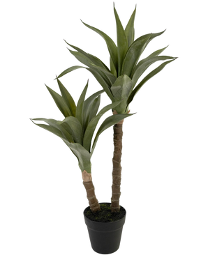 Die Kunstpflanze Agave 76 cm hat zwei lange, dicke Stängel mit spitzen grünen Blättern, die einer Agave ähneln, präsentiert in einem schwarzen Plastiktopf vor einem schlichten weißen Hintergrund.