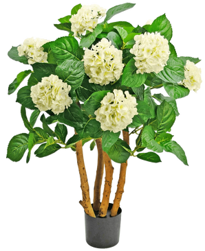Die künstliche UV-Hortensie 85 cm weiß ist eine künstliche Pflanze in einem Topf mit kräftigen braunen Stielen, großen grünen Blättern und Büscheln weißer, hortensienartiger Blüten an der Spitze.
