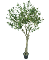 Der künstliche Olivenbaum 200 cm hat einen schlanken hellbraunen Stamm, zahlreiche grüne Blätter und kleine dunkle Oliven an den Zweigen. Dieser künstliche Olivenbaum sieht vor einem weißen Hintergrund naturgetreu aus.