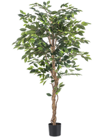 Die feuerhemmende Kunstpflanze Ficus 180 cm hat gedrehte braune Stämme und üppig grüne Blätter, in einem kleinen schwarzen Pflanzgefäß vor weißem Hintergrund – eine elegante, wartungsfreie Pflanze für jedes Interieur.
