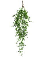 Die künstliche Hängepflanze Senecio 76 cm hat einen einzelnen Zweig künstlichen Grüns mit kleinen, büschelförmigen grünen Blättern, die vor einem schlichten weißen Hintergrund elegant nach unten hängen.