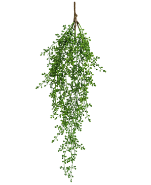 Die künstliche Hängepflanze Senecio 76 cm hat einen einzelnen Zweig künstlichen Grüns mit kleinen, büschelförmigen grünen Blättern, die vor einem schlichten weißen Hintergrund elegant nach unten hängen.