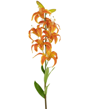 Die künstliche Blumen-Martagon-Lilie 78 cm orange hat einen einzelnen Stiel mit mehreren leuchtend orangefarbenen Lilienblüten und grünen Blättern vor einem schlichten weißen Hintergrund.