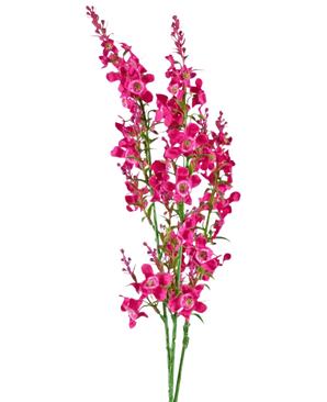 Die künstliche Blumen-Katzenminze 75 cm rosa hat einen Stiel aus leuchtend rosa künstlichen Blüten mit grünen Blättern, isoliert auf einem weißen Hintergrund.