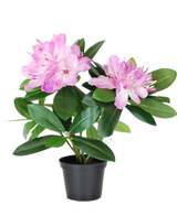Die Kunstpflanze Rhododendron 34 cm hat leuchtend grüne Blätter und hellrosa Blütensträuße in einem kleinen schwarzen Topf vor einem schlichten weißen Hintergrund.