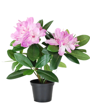 Die Kunstpflanze Rhododendron 34 cm hat leuchtend grüne Blätter und hellrosa Blütensträuße in einem kleinen schwarzen Topf vor einem schlichten weißen Hintergrund.