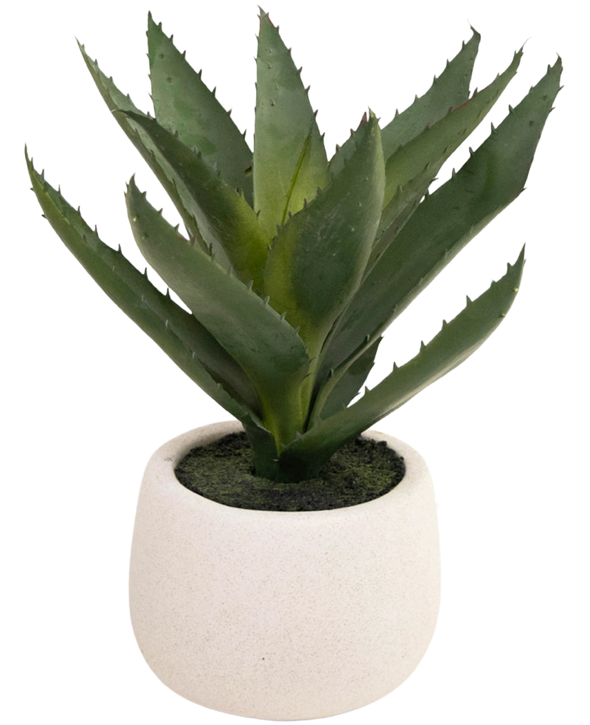 Die Kunstpflanze Aloe Vera 28 cm kommt in einem schlichten, runden Topf aus weißer Keramik, mit naturgetreuen grünen, stacheligen Blättern vor einem schlichten weißen Hintergrund.