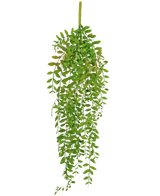 Die künstliche Hängepflanze Pumila 89 cm hat kleine, ovale grüne Blätter an mehreren Hängestielen, vor einem schlichten weißen Hintergrund.