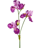 Die künstliche Blume Iris 102 cm lila hat einen langen grünen Stiel, der mit mehreren leuchtend lila und weißen Irisblüten verziert ist, jeweils mit Rüschen auf den Blütenblättern und gelben Akzenten, vor einem schlichten weißen Hintergrund.