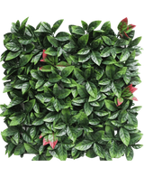 Die künstliche Hecke Photonia rot 50x50 cm UV ist ein quadratisches künstliches Heckenpaneel mit dichten grünen Blättern und vereinzelten rot getönten Büscheln, die alle auf einem weißen Hintergrund präsentiert werden.