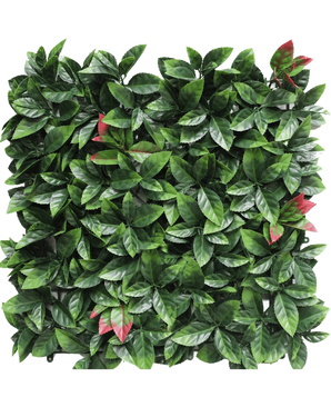 Die künstliche Hecke Photonia rot 50x50 cm UV ist ein quadratisches künstliches Heckenpaneel mit dichten grünen Blättern und vereinzelten rot getönten Büscheln, die alle auf einem weißen Hintergrund präsentiert werden.