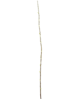 Die künstliche Blumen-Salix-Weide 150 cm ist ein einzelner schlanker Zweig mit kleinen Knospen entlang der Länge vor einem schlichten weißen Hintergrund.