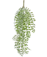 Die künstliche Hängepflanze Pumila/Eukalyptus 76 cm hat grüne, schmale Blätter und schlanke Stängel, die vor einem schlichten weißen Hintergrund herabfallen.