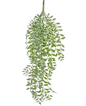 Die künstliche Hängepflanze Pumila/Eukalyptus 76 cm hat grüne, schmale Blätter und schlanke Stängel, die vor einem schlichten weißen Hintergrund herabfallen.