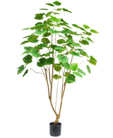 Die Kunstpflanze Ficus 180 cm ist eine hohe Zimmerpflanze in einem Topf mit mehreren schlanken braunen Stielen und großen grünen Blättern, dargestellt vor einem schlichten weißen Hintergrund.