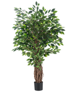 Die Kunstpflanze Ficus Tropical Liana 150 cm ist ein hoher Kunstbaum mit geflochtenem Stamm und dichten grünen Blättern, der in einem kleinen schwarzen Topf vor einem schlichten weißen Hintergrund präsentiert wird.
