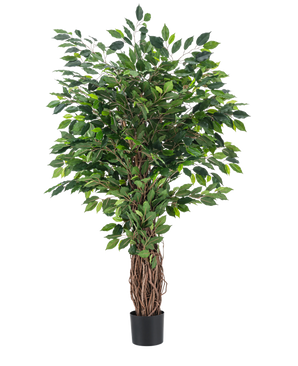 Die Kunstpflanze Ficus Tropical Liana 150 cm ist ein hoher Kunstbaum mit geflochtenem Stamm und dichten grünen Blättern, der in einem kleinen schwarzen Topf vor einem schlichten weißen Hintergrund präsentiert wird.