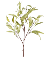 Der künstliche Zweig Eucalyptus Niphophila 108 cm grün hat einen einzelnen braunen Stamm mit mehreren dünnen Zweigen, die jeweils mit länglichen, hellgrünen Blättern verziert sind, vor einem schlichten weißen Hintergrund.