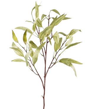 Der künstliche Zweig Eucalyptus Niphophila 108 cm grün hat einen einzelnen braunen Stamm mit mehreren dünnen Zweigen, die jeweils mit länglichen, hellgrünen Blättern verziert sind, vor einem schlichten weißen Hintergrund.