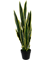 Die Kunstpflanze Sansevieria Laurentii 92 cm im dekorativen Topf hat hohe, aufrechte grüne Blätter mit gelben Rändern vor einem schlichten weißen Hintergrund.