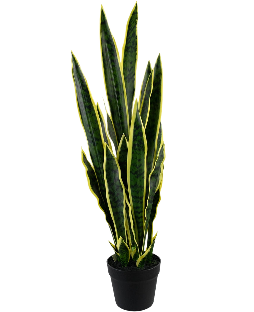 Die Kunstpflanze Sansevieria Laurentii 92 cm im dekorativen Topf hat hohe, aufrechte grüne Blätter mit gelben Rändern vor einem schlichten weißen Hintergrund.