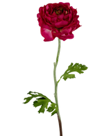 Der künstliche Blumen-Ranunkel 51 cm dunkelrosa ist ein künstlicher dunkelrosa Ranunkel mit geschichteten Blütenblättern, einem langen grünen Stiel und tief gelappten grünen Blättern, isoliert auf einem weißen Hintergrund.