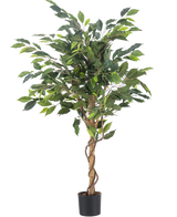 Die Kunstpflanze Ficus Green 120 cm hat grüne Blätter und einen gedrehten Stiel, in einem kleinen schwarzen Topf vor einem schlichten weißen Hintergrund.