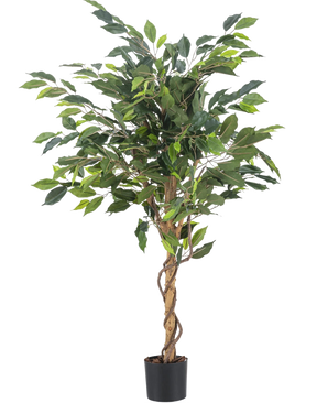 Die Kunstpflanze Ficus Green 120 cm hat grüne Blätter und einen gedrehten Stiel, in einem kleinen schwarzen Topf vor einem schlichten weißen Hintergrund.