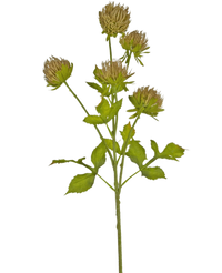 Künstliche Blume Distel 66 cm braun
